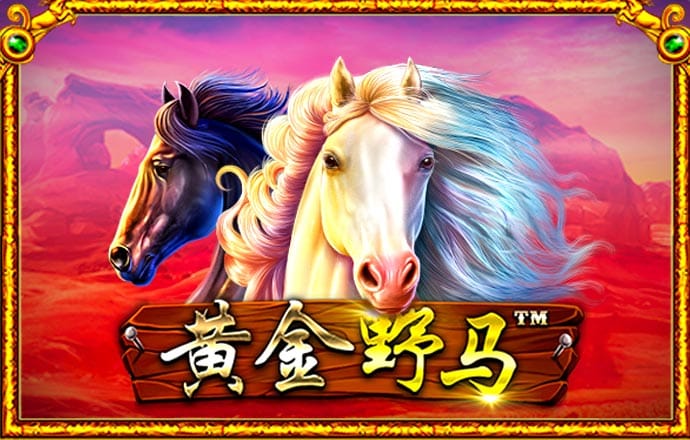 hth体育彩票下载